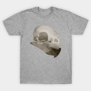 Parrot Skull T-Shirt